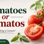Tomatoes or Tomatos