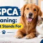 ASPCA Meaning: What It Stands For