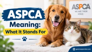 ASPCA Meaning: What It Stands For