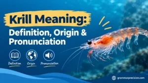 Krill Meaning: Definition, Origin & Pronunciation