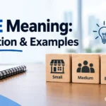 SME Meaning: Definition & Examples