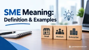 SME Meaning: Definition & Examples