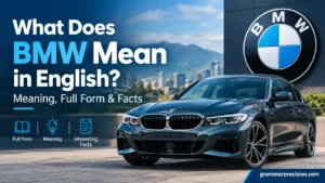 What Does BMW Mean in English? Meaning, Full Form & Facts